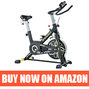 best recumbent exercise bike under 300