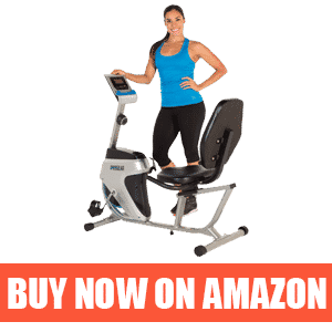 ProGear 555LXT – Small Recumbent Bike