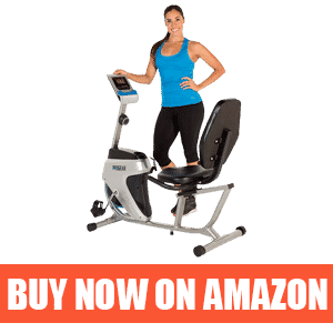 best budget recumbent exercise bike