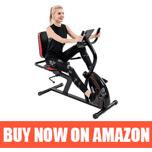 recumbent exercise bike for over 300 lbs