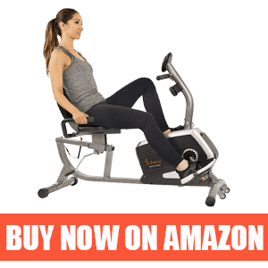 Sunny Health & Fitness SF-RB4616 - Best Recumbent Bike for Home