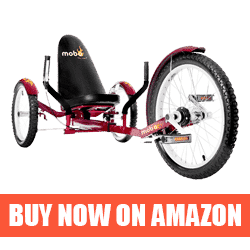 Mobo Triton Pro - Best Recumbent Street Bike