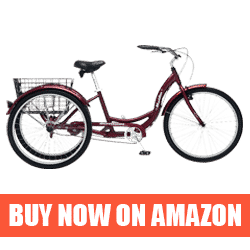 Schwinn Meridian - Best Recumbent Road Bike