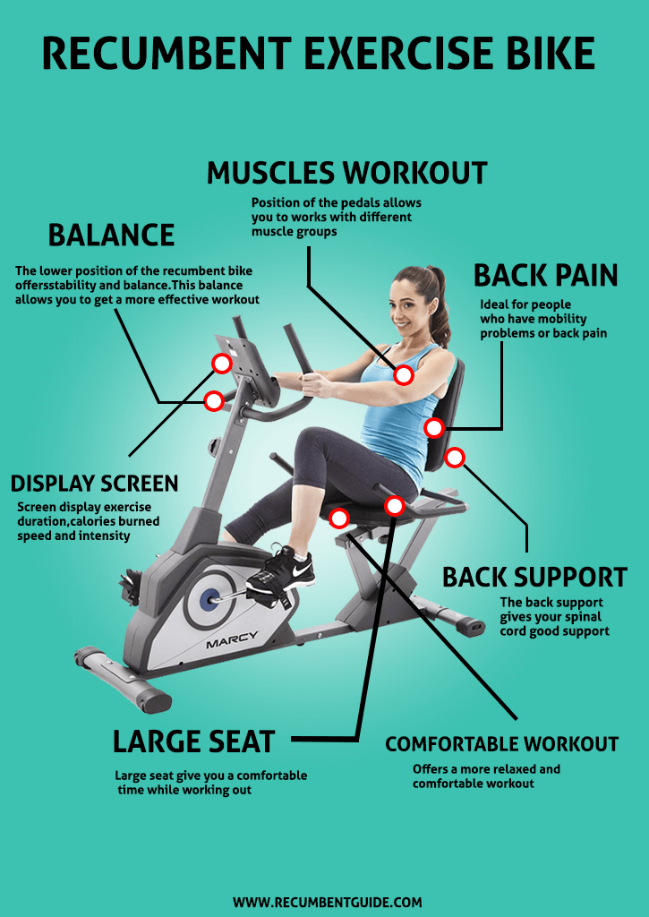 What Muscles Does Recumbent Bikes Work? Recumbent Guide