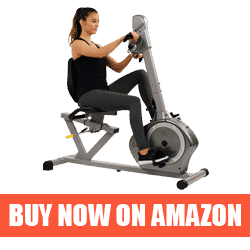 Best Sunny Recumbent Bike for the Money