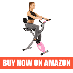 sunny recumbent bike