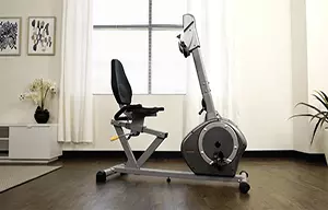 Top Sunny Health And Fitness Recumbent Bikes