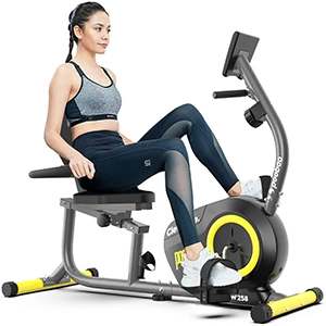 pooboo Magnetic Recumbent Exercise Bike