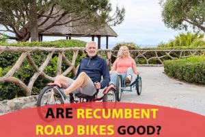 Pros and Cons of Recumbent Road Bike